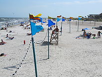 Blue, red, and yellow flags raised on poles are lined up in the sand on a beach. The flags are connected with light strings. The ocean and people are visible beneath the flags in the background.