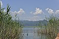 Lake Skadar, Montenegro
