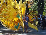 Costumes in West Indian Day parade (2008)