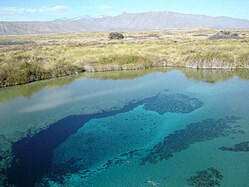Poza Azul, one of many a springs in the Cuatro Ciénegas Basin in central Coahuila, Mexico (2009).