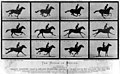 Image 8Eadweard Muybridge's The Horse in Motion cabinet cards utilized the technique of chronophotography to study motion. (from History of film)