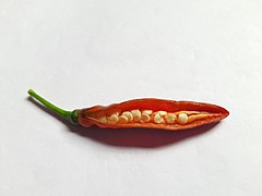 Ripe chili pepper with seeds