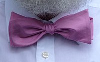 Bow tie, type Butterfly, silk