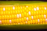 Semi-peeled corn on the cob