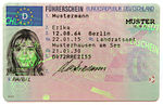 German driving permit
