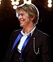 Bowie at Tweeter Center in Tinley Park during the Heathen Tour in 2002