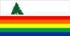 Flag of Santa Cruz