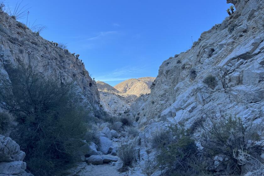 Moonlight Canyon Trail is located on the southern end of Agua Caliente County Park.