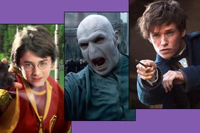 harry potter and fantastic beast movies ranked