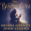 Beauty & The Beast artwork