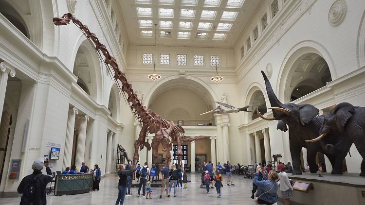 The all-time best Chicago museums