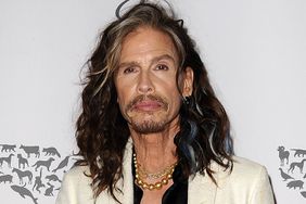 Steven Tyler attends The Humane Society of The United States' To The Rescue gala at Paramount Studios on May 07, 2016 in Hollywood, California.