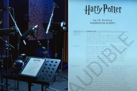New Versions of 'Harry Potter' to be Released on Audible