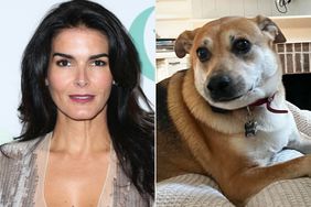 Angie Harmon and dog Oliver