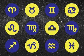 12 Zodiac Signs