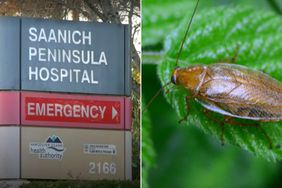 Saanich Peninsula Hospital, German Roach