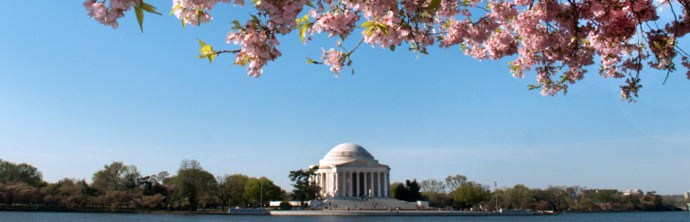 photo of Washington D.C., DC