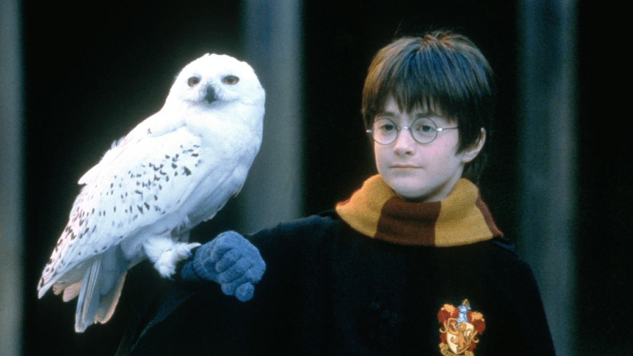 'Harry Potter and the Sorcerer's Stone': 2001 Review