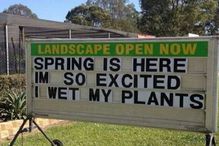 Wet our plants pun