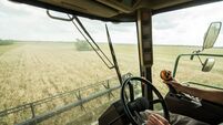 Farmer at steering wheel of сombine harvester on wheat field