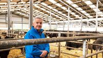 Michael O'Leary: I'm not sure if I've made any money on the farm this year