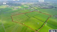 33-acre farm near University of Limerick set for May Day auction