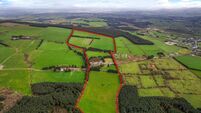 75-acre quality Cork holding likely to sell in lots