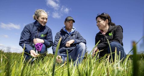 Using clover and multi-species sward management to push for more milk